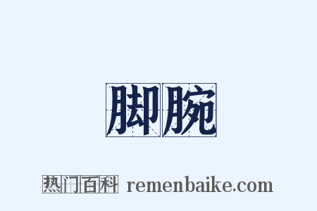 脚腕是什么意思的图片
